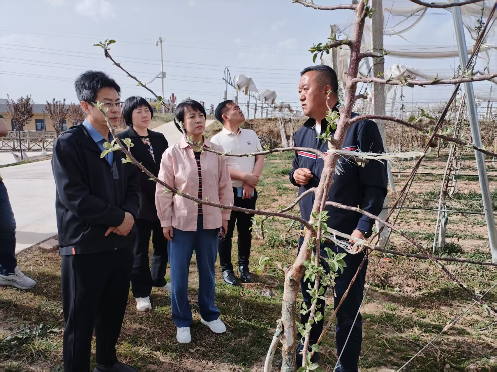 2025年4月16日銅川市供銷(xiāo)合作社王婧副主任與”鮮豐匯“、華東農(nóng)產(chǎn)品交易中